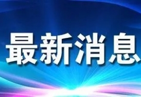 穩(wěn)增長 促發(fā)展 強信心 | “箱”聚春天 “包”您滿意