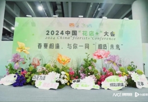 2024“廣花節(jié)”花城啟幕，助力“花經濟”